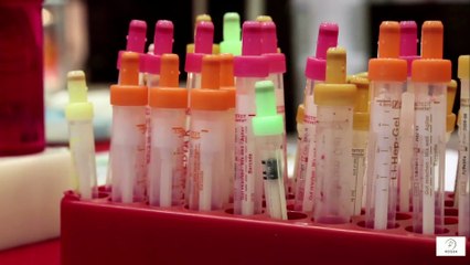 “Bladder Cancer in the Elderly — Symptoms You Shouldn’t Ignore”