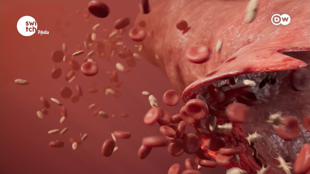 In Good Shape - Blood Work