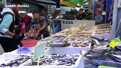 Balıkçı tezgahlarında bolluk yaşanıyor