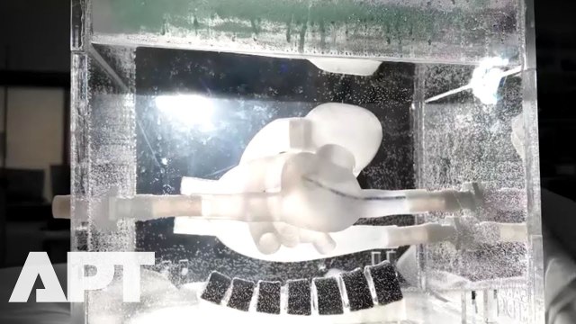 WATCH | UK Innovators Create Lifelike Organs for Ethical Surgery Practice | APT