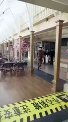 Revenge my evil bestie / BFFs unraveled