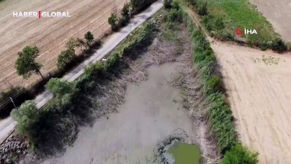 Bolu'da gölet kurudu: Telef olan yüzlerce balık havadan görüntülendi