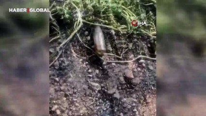 Balıkesir'de tarla yangını sonrası üzücü manzara: Çok sayıda cam şişe görüldü