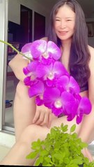 Ini Tanaman ku...mana tanaman mu?