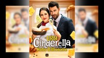 Ugly Cinderella and Her Hobo Billionaire Full Movie