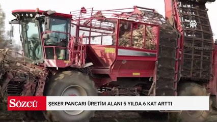 Şeker pancarı üretim alanı 5 yılda 6 kat arttı