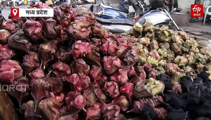 सिंघाड़ों में भी मिलावट! बिगाड़ सकता है सेहत, जरा संभलकर खाएं