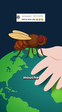 Le taon : pire que le moustique ? #taon #moustique #nature #animaux #humour