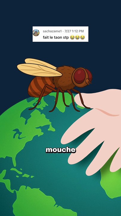 Le taon : pire que le moustique ? #taon #moustique #nature #animaux #humour
