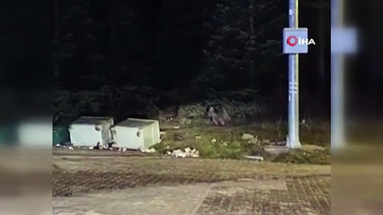 Yavrularını Böyle Emzirdi