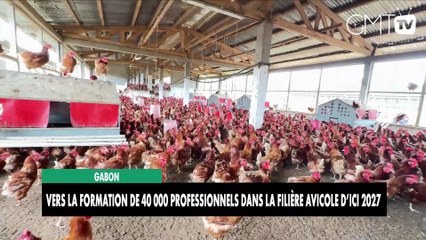 [#Reportage] Gabon : Vers la formation de 40 000 professionnels dans la filière avicole d’ici 2027