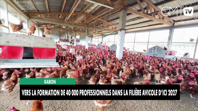 [#Reportage] Gabon : Vers la formation de 40 000 professionnels dans la filière avicole d’ici 2027