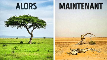 Monuments naturels que nous avons détruits de nos propres mains