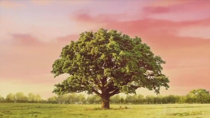 Na miłość nie ma recepty - 84