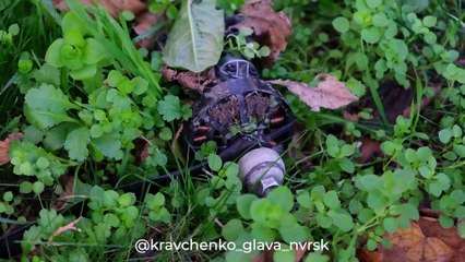 Rusia declara el estado de emergencia en Novorosiisk tras un "ataque masivo" de Ucrania