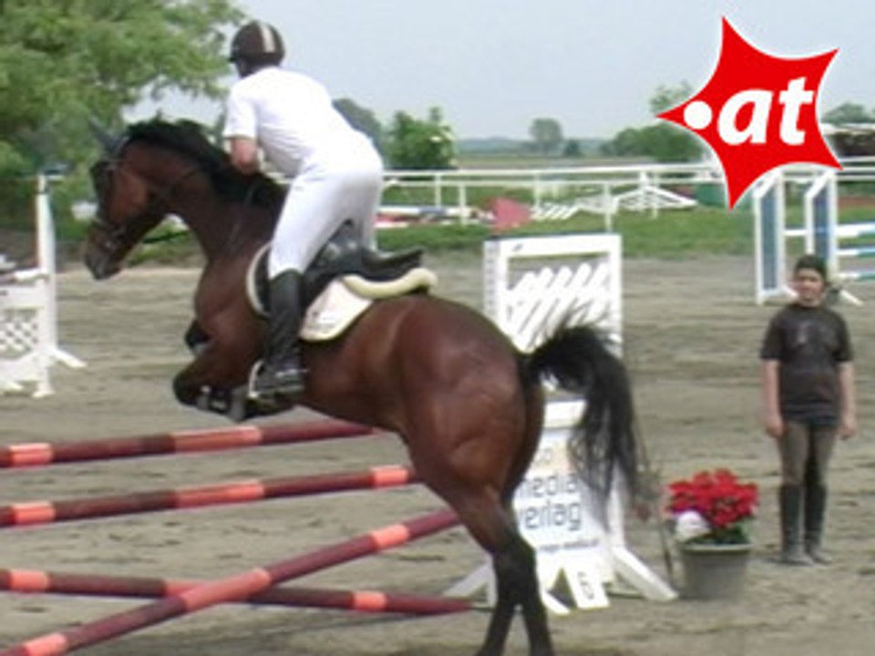 Gerold Karlovats, Springreiten, Kottingbrunn (2008-022)