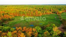 Flying Drone Above Maine Rainforest Swamp – Jungle Foliage