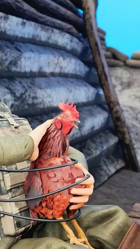 Why WW2 Soldiers Carried Chickens — Not for Food!