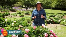 Gardening Australia 2025 Episode 38