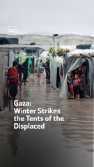 Gaza: Winter Strikes the Tents of the Displaced