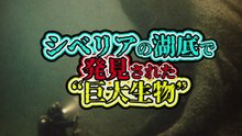 シベリアの湖底で発見された“巨大生物”
