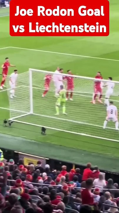 Liechtenstein vs Wales Highlights