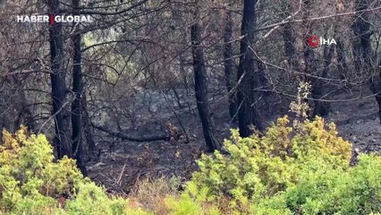 Orman yangınında alevlerin arasında kalan kadın böyle kurtarılmış