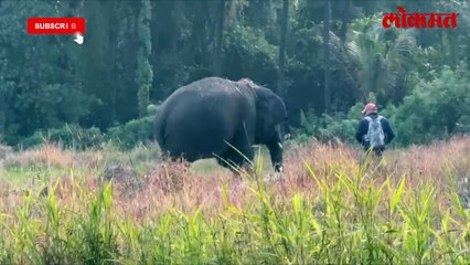 वन्यजीवांचा मानवी वस्तीत वावर का वाढतोय? प. महाराष्ट्रातील धक्कादायक माहिती समोर...