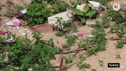 Bodies in 'mass grave' at Dakar cemetery challenge French version of 1944 colonial massacre