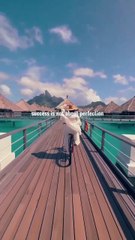 Your potential is limitless