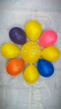 Yellow Magpie Colour Water Balloons Popping Reverses Satisfying