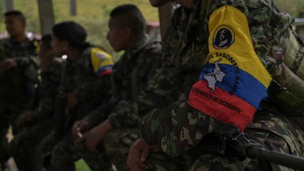 Indignante: disidencias estarían exigiendo carnet para transitar y regalos de Navidad en Cauca