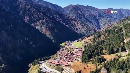 Karadeniz'in doğa harikası Ayder'e teleferik geliyor!