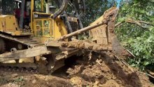 Perfect Road Work with a D6R XL Bulldozer in the Mountain Plantation