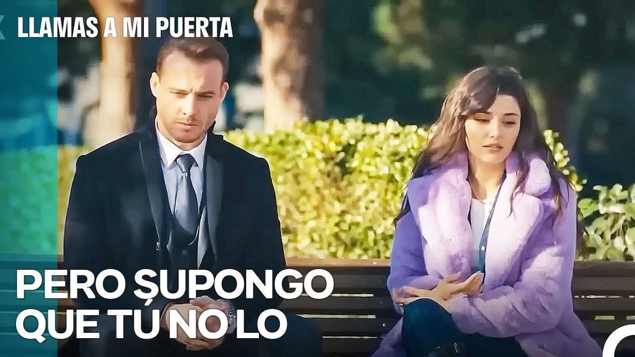 A Pesar De Todo El Mal Que Me Hiciste, Te Apoyé - Llamas A Mi Puerta