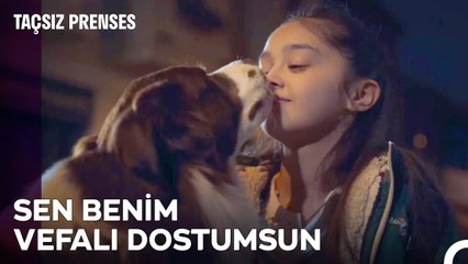 Masal ve Köfte'nin Sonsuz Dostluğu - Taçsız Prenses
