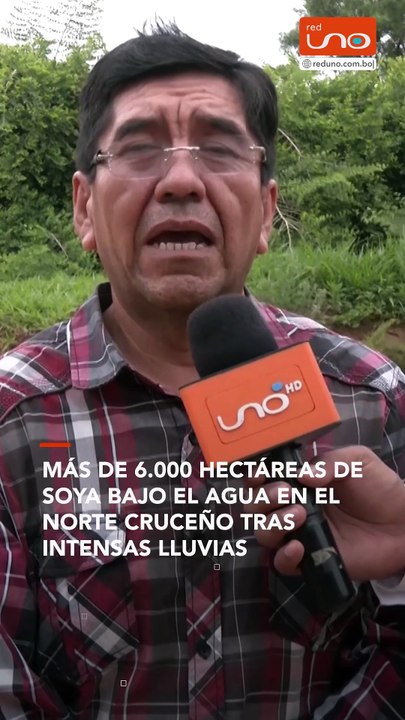 Más de 6.000 hectáreas de soya bajo el agua en el norte cruceño tras intensas lluvias