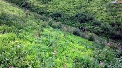 The Cursed Love-S1E1