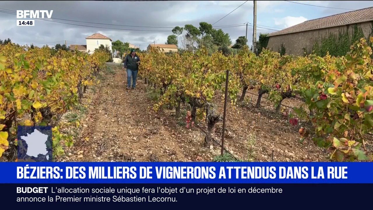 Les vignerons d'Occitanie se mobilisent samedi pour alerter sur leur situation