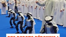 Des robots bédouins !