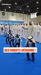 Des robots bédouins !