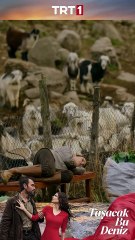 Onlar birbirine bakarken gozlerinin ici guler #tasacakbudeniz #trt1 #shorts