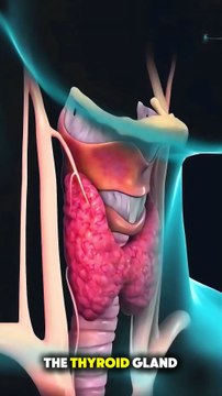 Thyroid Gland Surgery Explained | Thyroidectomy Procedure, Risks & Recovery