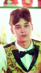 Mafia Boss And His White Rose