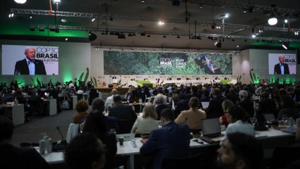 Un nombre record de lobbyistes des énergies fossiles à la COP30 !