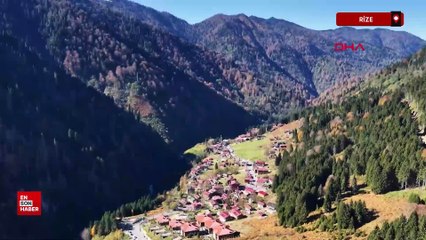 Rize Ayder Yaylası’nda teleferikle ulaşım planlanıyor