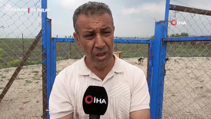 Gönüllüler hasta ve yaşlı sokak hayvanları için koruma alanı yaptı