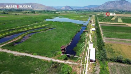 Kaz Gölü yeni evlenen çiftler için doğal stüdyo oldu