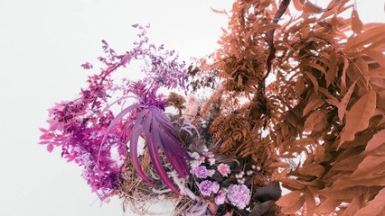 Calendario Pirelli 2026, da Irina Shayk a Eva Herzigova, Venus Williams e Luisa Ranieri: come sono nate le foto