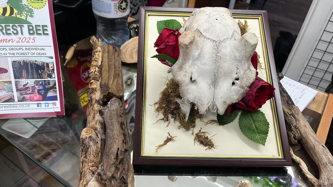 Spirit & Stone Oddities